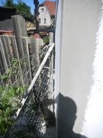 COOLPIX S1200pj, T:10/10000, A:f/3.9, P:2, ISO80, F:50mm, EV:0 <br />08.06.2014 -  16:24:52